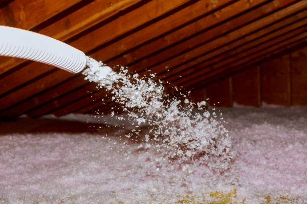Best Insulation Installation Services in Eustis, FL