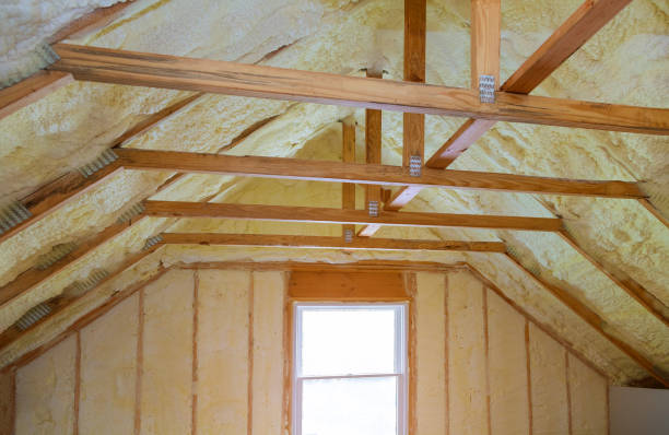 Best Types of Insulation in Eustis, FL