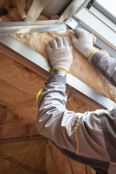 Types of Insulation We Offer in FL