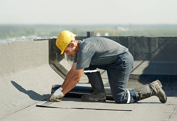 Best Energy Efficiency Solutions in Eustis, FL