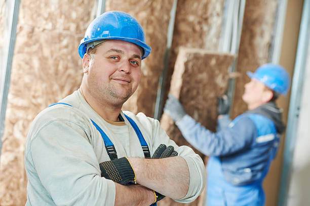 Best Insulation Maintenance and Repair in Eustis, FL